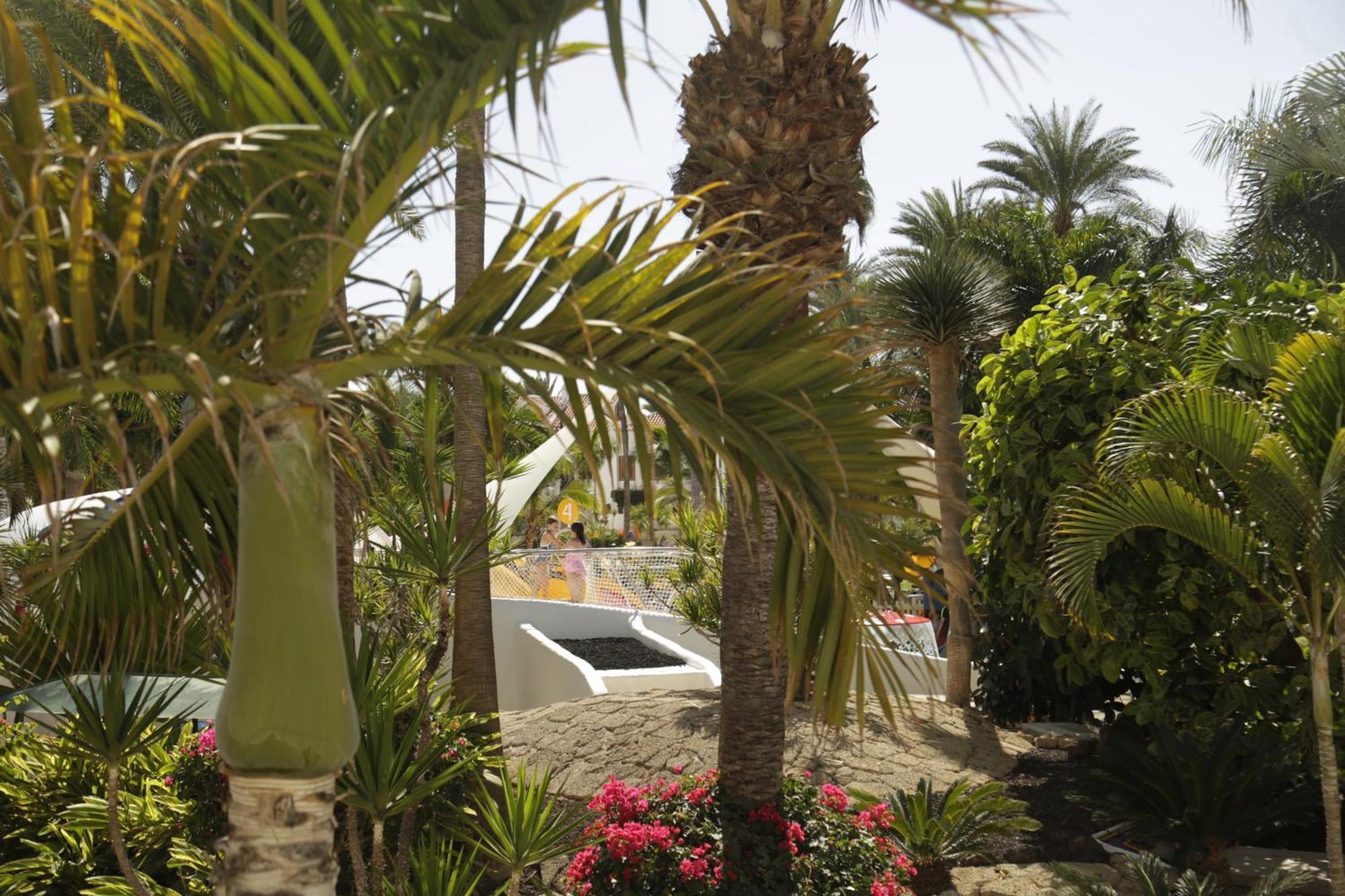 Parque Santiago 3 Luxery Apartment, Playa Las Americas, Arona, Tenerife Playa de las Americas  Zewnętrze zdjęcie